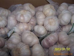 金鄉縣恒興蒜業 匠心耕耘，打造多元化高品質農副產品矩陣