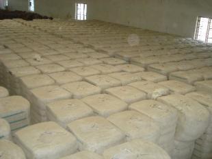 印度皮棉V797 全球農(nóng)副產(chǎn)品市場(chǎng)的重要品種