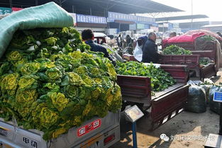 時(shí)代脈搏上的“菜籃子”——我眼中的咸陽(yáng)新陽(yáng)光西北農(nóng)副產(chǎn)品交易中心