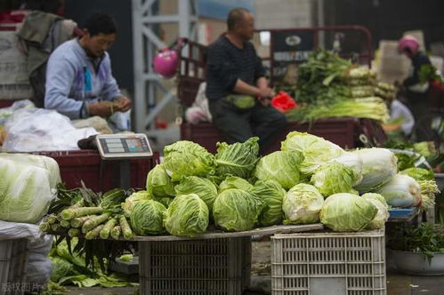 農(nóng)副產(chǎn)業(yè)電商的數(shù)字化升級(jí) 共繪鄉(xiāng)村振興美好未來