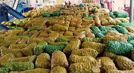 黃龍 探索農(nóng)副產(chǎn)品“鏈?zhǔn)桨l(fā)展”，激活產(chǎn)業(yè)“聚變效應(yīng)”