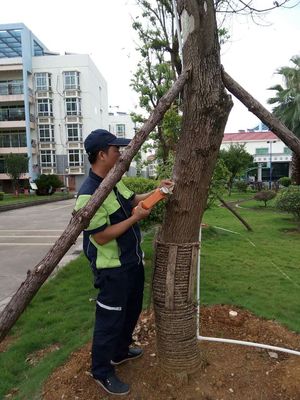 有害生物防治指南 賀州市康臣的專業(yè)之道